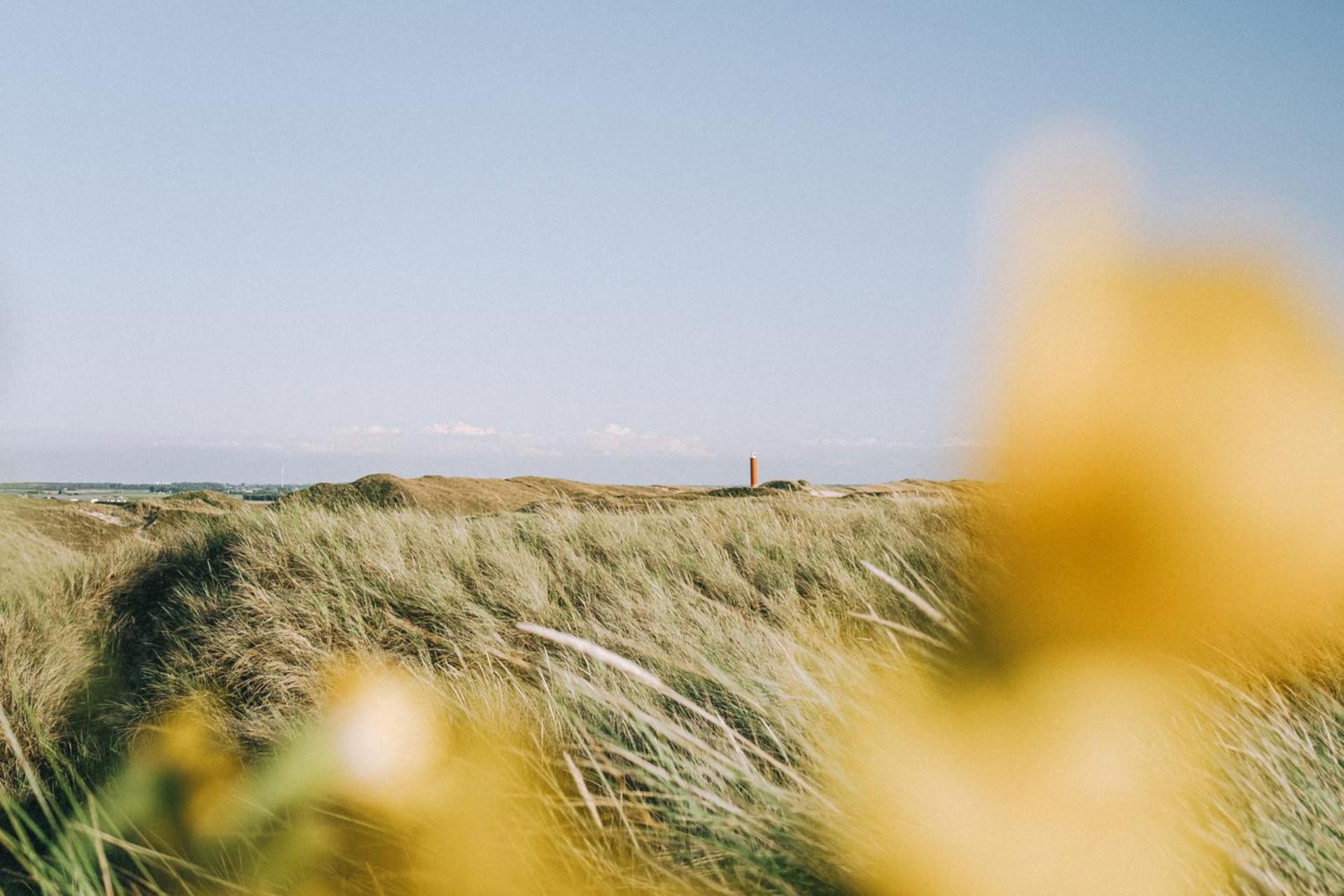 Vakantiehuis Zilt - Julianadorp Aan Zee Esterno foto